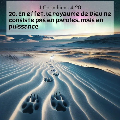 Segond21 1 Corinthiens  ; image nature: image avec le verset biblique :En effet, le royaume de Dieu ne consiste pas en paroles, mais en puissance. ;  ; 4:20