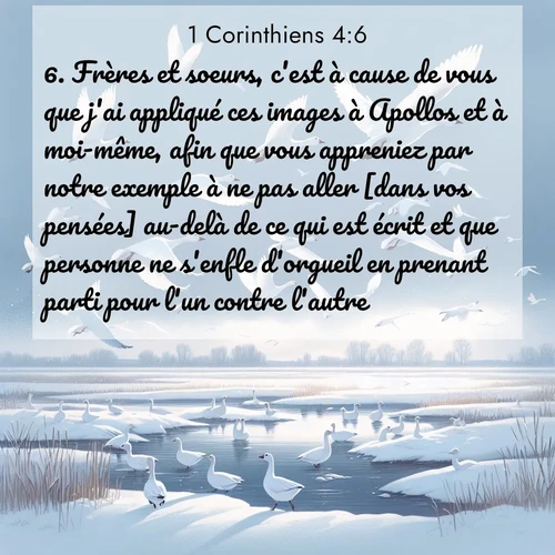 Segond21 1 Corinthiens  ; image nature: image avec le verset biblique :Frères et soeurs, c&#039;est à cause de vous que j&#039;ai appliqué ces images à Apollos et à moi-même, afin que vous appreniez par notre exemple à ne pas aller [dans vos pensées] au-delà de ce qui est écrit et que personne ne s&#039;enfle d&#039;orgueil en prenant parti pour l&#039;un contre l&#039;autre. ;  ; 4:6