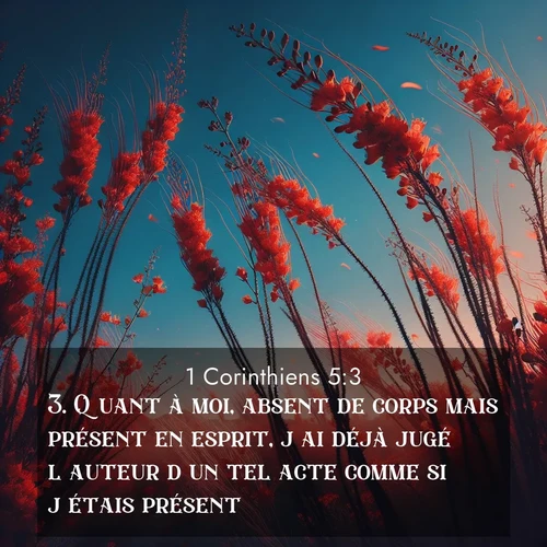 Segond21 1 Corinthiens  ; image nature: image avec le verset biblique :Quant à moi, absent de corps mais présent en esprit, j&#039;ai déjà jugé l&#039;auteur d&#039;un tel acte comme si j&#039;étais présent. ;  ; 5:3