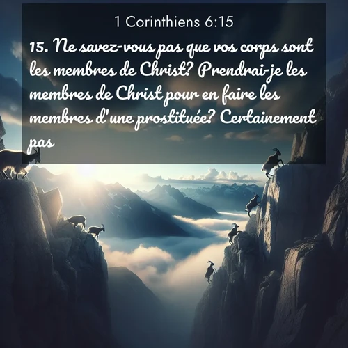 Segond21 1 Corinthiens  ; image nature: image avec le verset biblique :Ne savez-vous pas que vos corps sont les membres de Christ? Prendrai-je les membres de Christ pour en faire les membres d&#039;une prostituée? Certainement pas! ;  ; 6:15