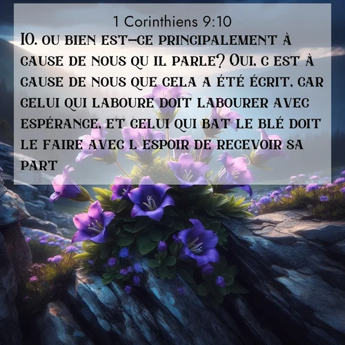 Segond21 1 Corinthiens  ; image nature: image avec le verset biblique :ou bien est-ce principalement à cause de nous qu&#039;il parle? Oui, c&#039;est à cause de nous que cela a été écrit, car celui qui laboure doit labourer avec espérance, et celui qui bat le blé doit le faire avec l&#039;espoir de recevoir sa part. ;  ; 9:10