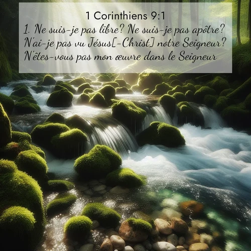 Segond21 1 Corinthiens  ; image nature: image avec le verset biblique :Ne suis-je pas libre? Ne suis-je pas apôtre? N&#039;ai-je pas vu Jésus[-Christ] notre Seigneur? N&#039;êtes-vous pas mon œuvre dans le Seigneur? ;  ; 9:1