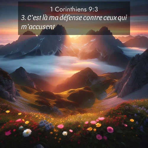 Segond21 1 Corinthiens  ; image nature: image avec le verset biblique :C&#039;est là ma défense contre ceux qui m&#039;accusent. ;  ; 9:3