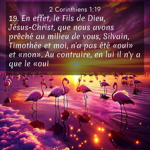 Segond21 2 Corinthiens  ; image nature: image avec le verset biblique :En effet, le Fils de Dieu, Jésus-Christ, que nous avons prêché au milieu de vous, Silvain, Timothée et moi, n&#039;a pas été «oui» et «non». Au contraire, en lui il n&#039;y a que le «oui». ;  ; 1:19