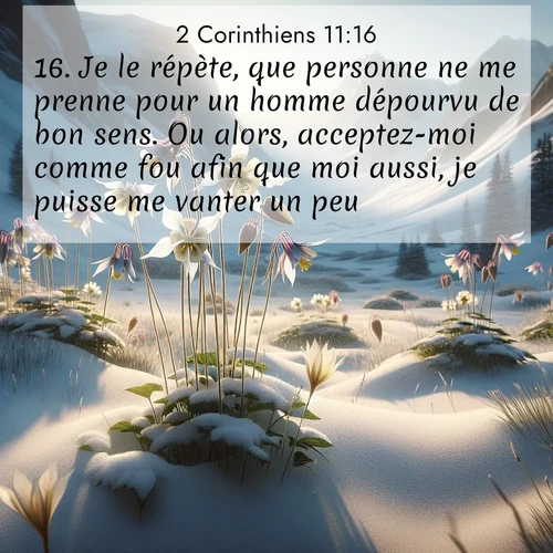 Segond21 2 Corinthiens  ; image nature: image avec le verset biblique :Je le répète, que personne ne me prenne pour un homme dépourvu de bon sens. Ou alors, acceptez-moi comme fou afin que moi aussi, je puisse me vanter un peu. ;  ; 11:16