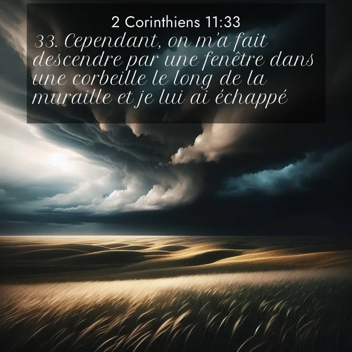 Segond21 2 Corinthiens  ; image nature: image avec le verset biblique :Cependant, on m&#039;a fait descendre par une fenêtre dans une corbeille le long de la muraille et je lui ai échappé. ;  ; 11:33
