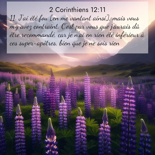 Segond21 2 Corinthiens  ; image nature: image avec le verset biblique :J&#039;ai été fou [en me vantant ainsi], mais vous m&#039;y avez contraint. C&#039;est par vous que j&#039;aurais dû être recommandé, car je n&#039;ai en rien été inférieur à ces super-apôtres, bien que je ne sois rien. ;  ; 12:11
