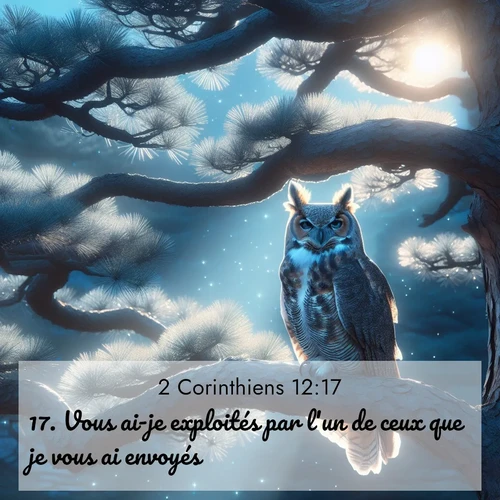 Segond21 2 Corinthiens  ; image nature: image avec le verset biblique :Vous ai-je exploités par l&#039;un de ceux que je vous ai envoyés? ;  ; 12:17