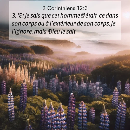 Segond21 2 Corinthiens  ; image nature: image avec le verset biblique :Et je sais que cet homme  était-ce dans son corps ou à l&#039;extérieur de son corps, je l&#039;ignore, mais Dieu le sait  ;  ; 12:3