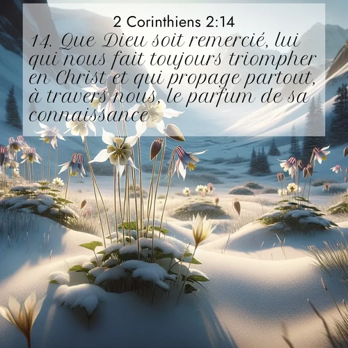 image nature avec verset biblique de la Bible