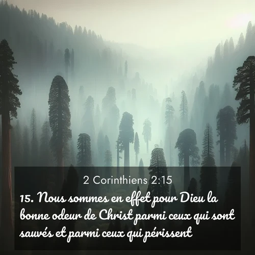 image nature avec verset biblique de la Bible