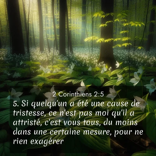 Segond21 2 Corinthiens  ; image nature: image avec le verset biblique :Si quelqu&#039;un a été une cause de tristesse, ce n&#039;est pas moi qu&#039;il a attristé, c&#039;est vous tous, du moins dans une certaine mesure, pour ne rien exagérer. ;  ; 2:5