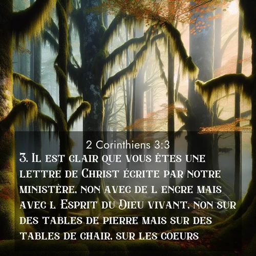 Segond21 2 Corinthiens  ; image nature: image avec le verset biblique :Il est clair que vous êtes une lettre de Christ écrite par notre ministère, non avec de l&#039;encre mais avec l&#039;Esprit du Dieu vivant, non sur des tables de pierre mais sur des tables de chair, sur les coeurs. ;  ; 3:3