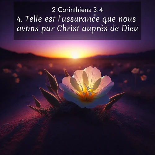 Segond21 2 Corinthiens  ; image nature: image avec le verset biblique :Telle est l&#039;assurance que nous avons par Christ auprès de Dieu. ;  ; 3:4