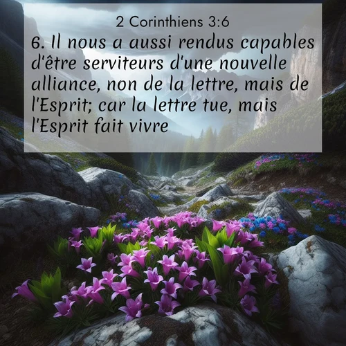 Segond21 2 Corinthiens  ; image nature: image avec le verset biblique :Il nous a aussi rendus capables d&#039;être serviteurs d&#039;une nouvelle alliance, non de la lettre, mais de l&#039;Esprit; car la lettre tue, mais l&#039;Esprit fait vivre. ;  ; 3:6