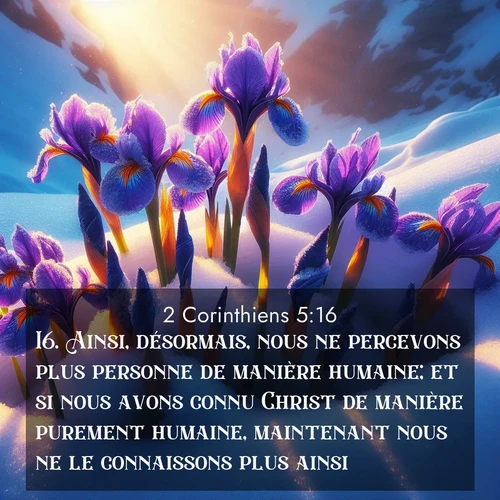 Segond21 2 Corinthiens  ; image nature: image avec le verset biblique :Ainsi, désormais, nous ne percevons plus personne de manière humaine; et si nous avons connu Christ de manière purement humaine, maintenant nous ne le connaissons plus ainsi. ;  ; 5:16