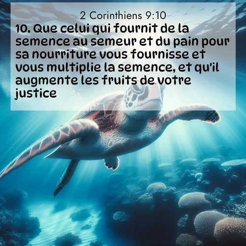 Segond21 2 Corinthiens  ; image nature: image avec le verset biblique :Que celui qui fournit de la semence au semeur et du pain pour sa nourriture vous fournisse et vous multiplie la semence, et qu&#039;il augmente les fruits de votre justice. ;  ; 9:10