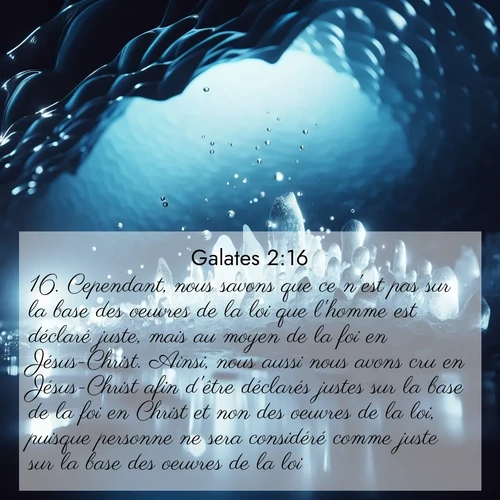 Segond21 Galates  ; image nature: image avec le verset biblique :Cependant, nous savons que ce n&#039;est pas sur la base des oeuvres de la loi que l&#039;homme est déclaré juste, mais au moyen de la foi en Jésus-Christ. Ainsi, nous aussi nous avons cru en Jésus-Christ afin d&#039;être déclarés justes sur la base de la foi en Christ et non des oeuvres de la loi, puisque personne ne sera considéré comme juste sur la base des oeuvres de la loi. ;  ; 2:16