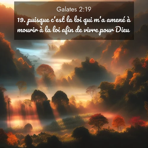 Segond21 Galates  ; image nature: image avec le verset biblique :puisque c&#039;est la loi qui m&#039;a amené à mourir à la loi afin de vivre pour Dieu. ;  ; 2:19