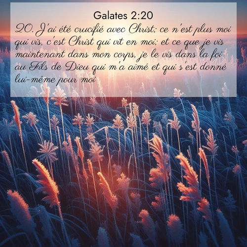 citation biblique : 20. J&#039;ai été crucifié avec Christ; ce n&#039;est plus moi qui vis, c&#039;est Christ qui vit en moi; et ce que je vis maintenant dans mon corps, je le vis dans la foi au Fils de Dieu qui m&#039;a aimé et qui s&#039;est donné lui-même pour moi.
 sur fond image nature