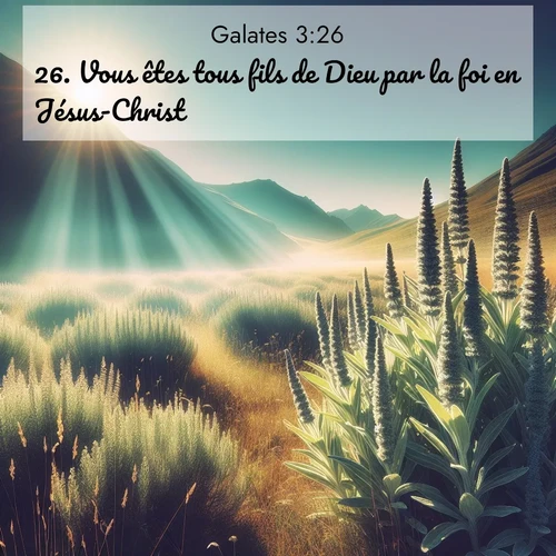 Segond21 Galates  ; image nature: image avec le verset biblique :Vous êtes tous fils de Dieu par la foi en Jésus-Christ; ;  ; 3:26