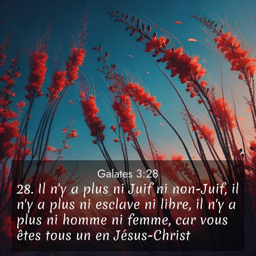 Segond21 Galates  ; image nature: image avec le verset biblique :Il n&#039;y a plus ni Juif ni non-Juif, il n&#039;y a plus ni esclave ni libre, il n&#039;y a plus ni homme ni femme, car vous êtes tous un en Jésus-Christ. ;  ; 3:28