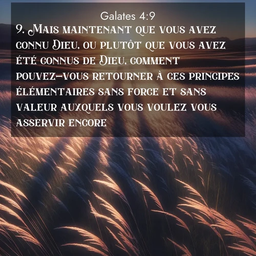 Segond21 Galates  ; image nature: image avec le verset biblique :Mais maintenant que vous avez connu Dieu, ou plutôt que vous avez été connus de Dieu, comment pouvez-vous retourner à ces principes élémentaires sans force et sans valeur auxquels vous voulez vous asservir encore? ;  ; 4:9