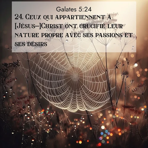 image nature avec verset biblique de la Bible