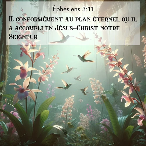 Segond21 Éphésiens  ; image nature: image avec le verset biblique :conformément au plan éternel qu&#039;il a accompli en Jésus-Christ notre Seigneur. ;  ; 3:11