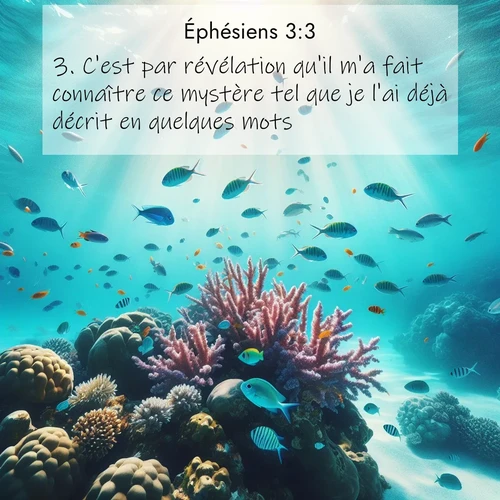 Segond21 Éphésiens  ; image nature: image avec le verset biblique :C&#039;est par révélation qu&#039;il m&#039;a fait connaître ce mystère tel que je l&#039;ai déjà décrit en quelques mots. ;  ; 3:3
