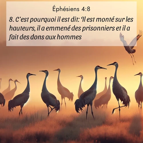 Segond21 Éphésiens  ; image nature: image avec le verset biblique :C&#039;est pourquoi il est dit: Il est monté sur les hauteurs, il a emmené des prisonniers et il a fait des dons aux hommes. ;  ; 4:8