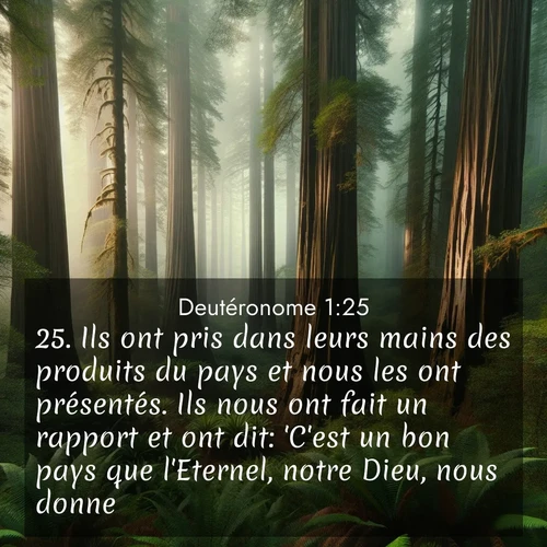 image nature avec verset biblique de la Bible