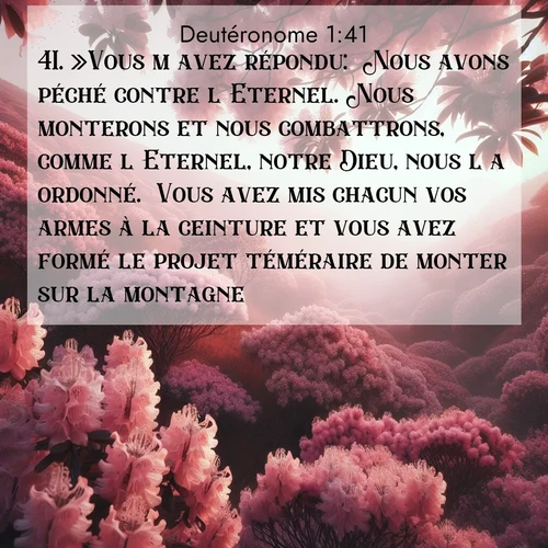 Segond21 Deutéronome  ; image nature: image avec le verset biblique :»Vous m&#039;avez répondu: &#039;Nous avons péché contre l&#039;Eternel. Nous monterons et nous combattrons, comme l&#039;Eternel, notre Dieu, nous l&#039;a ordonné.&#039; Vous avez mis chacun vos armes à la ceinture et vous avez formé le projet téméraire de monter sur la montagne. ;  ; 1:41