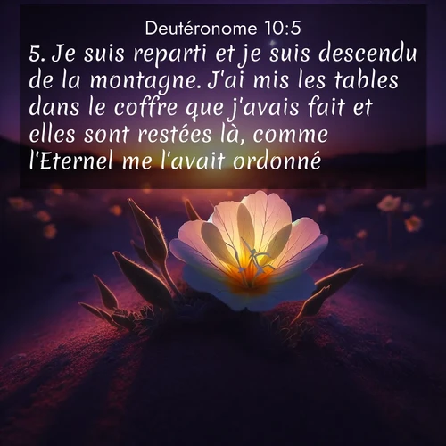 Segond21 Deutéronome  ; image nature: image avec le verset biblique :Je suis reparti et je suis descendu de la montagne. J&#039;ai mis les tables dans le coffre que j&#039;avais fait et elles sont restées là, comme l&#039;Eternel me l&#039;avait ordonné. ;  ; 10:5