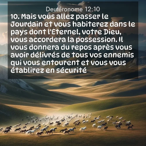 Segond21 Deutéronome  ; image nature: image avec le verset biblique :Mais vous allez passer le Jourdain et vous habiterez dans le pays dont l&#039;Eternel, votre Dieu, vous accordera la possession. Il vous donnera du repos après vous avoir délivrés de tous vos ennemis qui vous entourent et vous vous établirez en sécurité. ;  ; 12:10