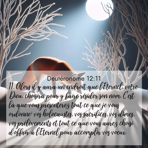 Segond21 Deutéronome  ; image nature: image avec le verset biblique :Alors il y aura un endroit que l&#039;Eternel, votre Dieu, choisira pour y faire résider son nom. C&#039;est là que vous présenterez tout ce que je vous ordonne: vos holocaustes, vos sacrifices, vos dîmes, vos prélèvements et tout ce que vous aurez choisi d&#039;offrir à l&#039;Eternel pour accomplir vos voeux. ;  ; 12:11