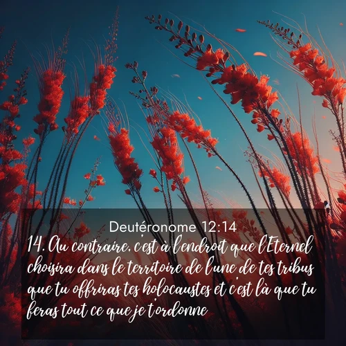 Segond21 Deutéronome  ; image nature: image avec le verset biblique :Au contraire, c&#039;est à l&#039;endroit que l&#039;Eternel choisira dans le territoire de l&#039;une de tes tribus que tu offriras tes holocaustes et c&#039;est là que tu feras tout ce que je t&#039;ordonne. ;  ; 12:14