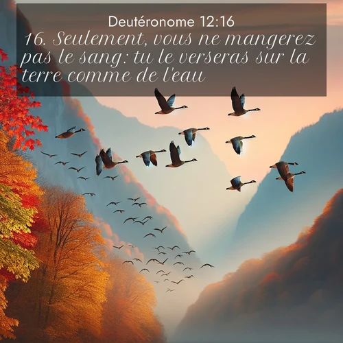 Segond21 Deutéronome  ; image nature: image avec le verset biblique :Seulement, vous ne mangerez pas le sang: tu le verseras sur la terre comme de l&#039;eau. ;  ; 12:16
