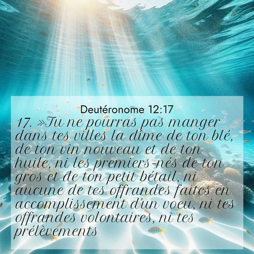 Segond21 Deutéronome  ; image nature: image avec le verset biblique :»Tu ne pourras pas manger dans tes villes la dîme de ton blé, de ton vin nouveau et de ton huile, ni les premiers-nés de ton gros et de ton petit bétail, ni aucune de tes offrandes faites en accomplissement d&#039;un voeu, ni tes offrandes volontaires, ni tes prélèvements. ;  ; 12:17