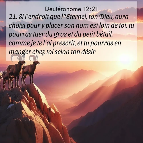 Segond21 Deutéronome  ; image nature: image avec le verset biblique :Si l&#039;endroit que l&#039;Eternel, ton Dieu, aura choisi pour y placer son nom est loin de toi, tu pourras tuer du gros et du petit bétail, comme je te l&#039;ai prescrit, et tu pourras en manger chez toi selon ton désir. ;  ; 12:21