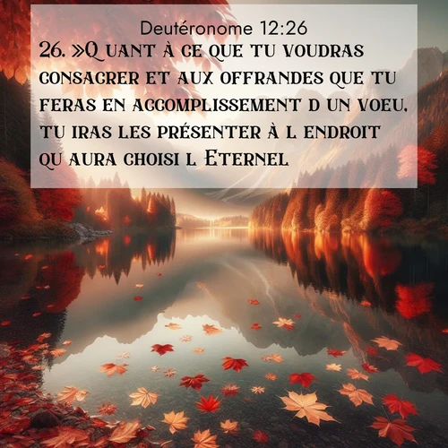 Segond21 Deutéronome  ; image nature: image avec le verset biblique :»Quant à ce que tu voudras consacrer et aux offrandes que tu feras en accomplissement d&#039;un voeu, tu iras les présenter à l&#039;endroit qu&#039;aura choisi l&#039;Eternel. ;  ; 12:26