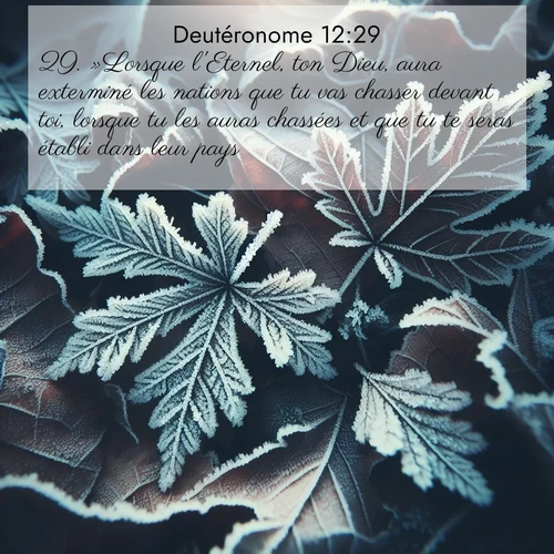 Segond21 Deutéronome  ; image nature: image avec le verset biblique :»Lorsque l&#039;Eternel, ton Dieu, aura exterminé les nations que tu vas chasser devant toi, lorsque tu les auras chassées et que tu te seras établi dans leur pays, ;  ; 12:29