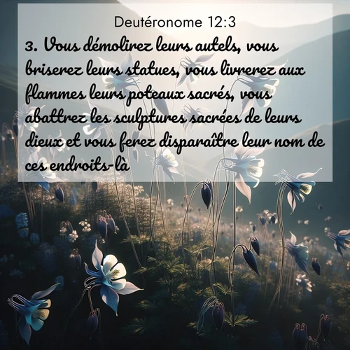 Segond21 Deutéronome  ; image nature: image avec le verset biblique :Vous démolirez leurs autels, vous briserez leurs statues, vous livrerez aux flammes leurs poteaux sacrés, vous abattrez les sculptures sacrées de leurs dieux et vous ferez disparaître leur nom de ces endroits-là. ;  ; 12:3