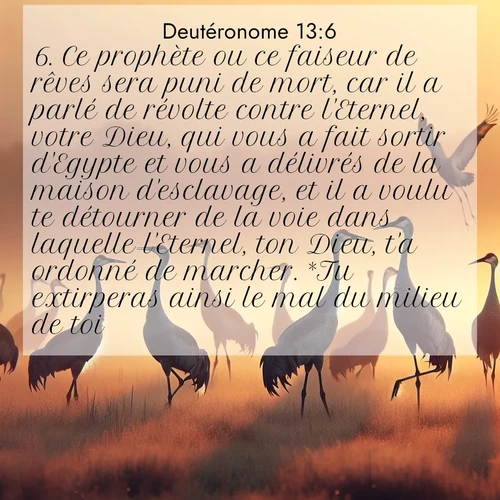 Segond21 Deutéronome  ; image nature: image avec le verset biblique :Ce prophète ou ce faiseur de rêves sera puni de mort, car il a parlé de révolte contre l&#039;Eternel, votre Dieu, qui vous a fait sortir d&#039;Egypte et vous a délivrés de la maison d&#039;esclavage, et il a voulu te détourner de la voie dans laquelle l&#039;Eternel, ton Dieu, t&#039;a ordonné de marcher. *Tu extirperas ainsi le mal du milieu de toi. ;  ; 13:6