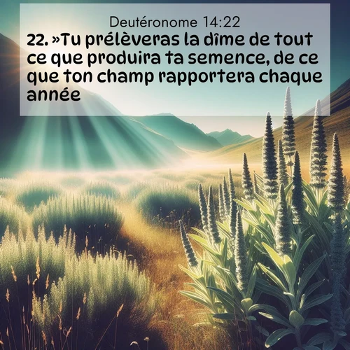 Segond21 Deutéronome  ; image nature: image avec le verset biblique :»Tu prélèveras la dîme de tout ce que produira ta semence, de ce que ton champ rapportera chaque année, ;  ; 14:22