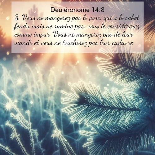 Segond21 Deutéronome  ; image nature: image avec le verset biblique :Vous ne mangerez pas le porc, qui a le sabot fendu mais ne rumine pas; vous le considérerez comme impur. Vous ne mangerez pas de leur viande et vous ne toucherez pas leur cadavre. ;  ; 14:8
