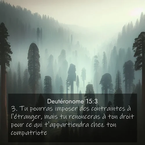 Segond21 Deutéronome  ; image nature: image avec le verset biblique :Tu pourras imposer des contraintes à l&#039;étranger, mais tu renonceras à ton droit pour ce qui t&#039;appartiendra chez ton compatriote. ;  ; 15:3