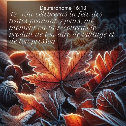 Segond21 Deutéronome  ; image nature: image avec le verset biblique :»Tu célébreras la fête des tentes pendant 7 jours, au moment où tu récolteras le produit de ton aire de battage et de ton pressoir. ;  ; 16:13