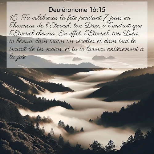 Segond21 Deutéronome  ; image nature: image avec le verset biblique :Tu célébreras la fête pendant 7 jours en l&#039;honneur de l&#039;Eternel, ton Dieu, à l&#039;endroit que l&#039;Eternel choisira. En effet, l&#039;Eternel, ton Dieu, te bénira dans toutes tes récoltes et dans tout le travail de tes mains, et tu te livreras entièrement à la joie. ;  ; 16:15
