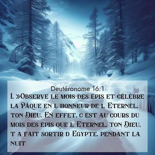 Segond21 Deutéronome  ; image nature: image avec le verset biblique :»Observe le mois des épis et célèbre la Pâque en l&#039;honneur de l&#039;Eternel, ton Dieu. En effet, c&#039;est au cours du mois des épis que l&#039;Eternel, ton Dieu, t&#039;a fait sortir d&#039;Egypte, pendant la nuit. ;  ; 16:1